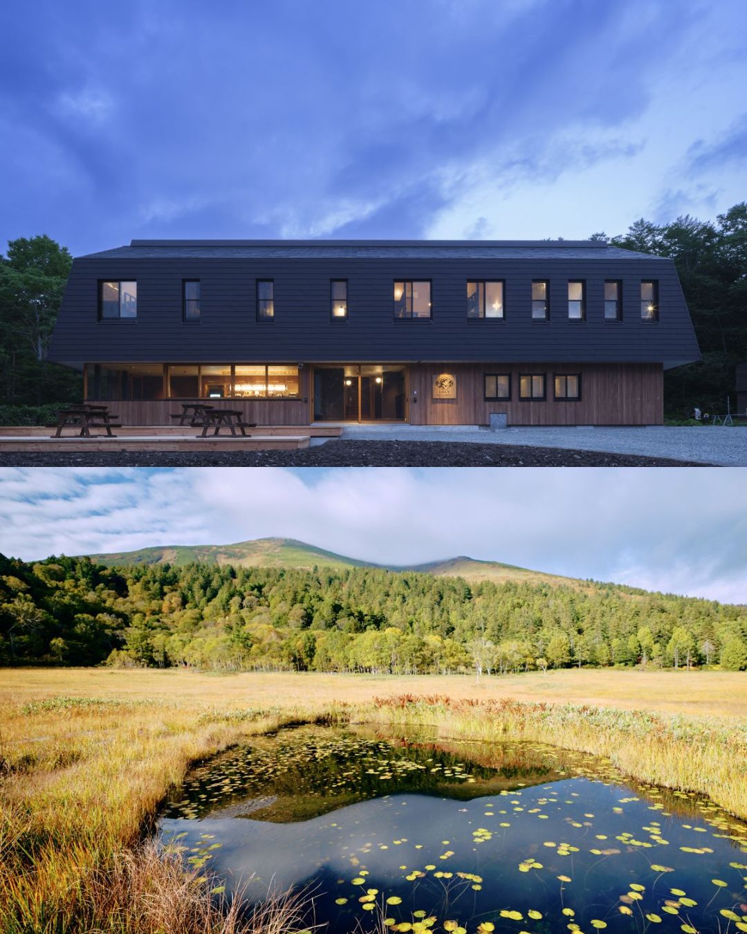 尾瀬鳩待ルーシー