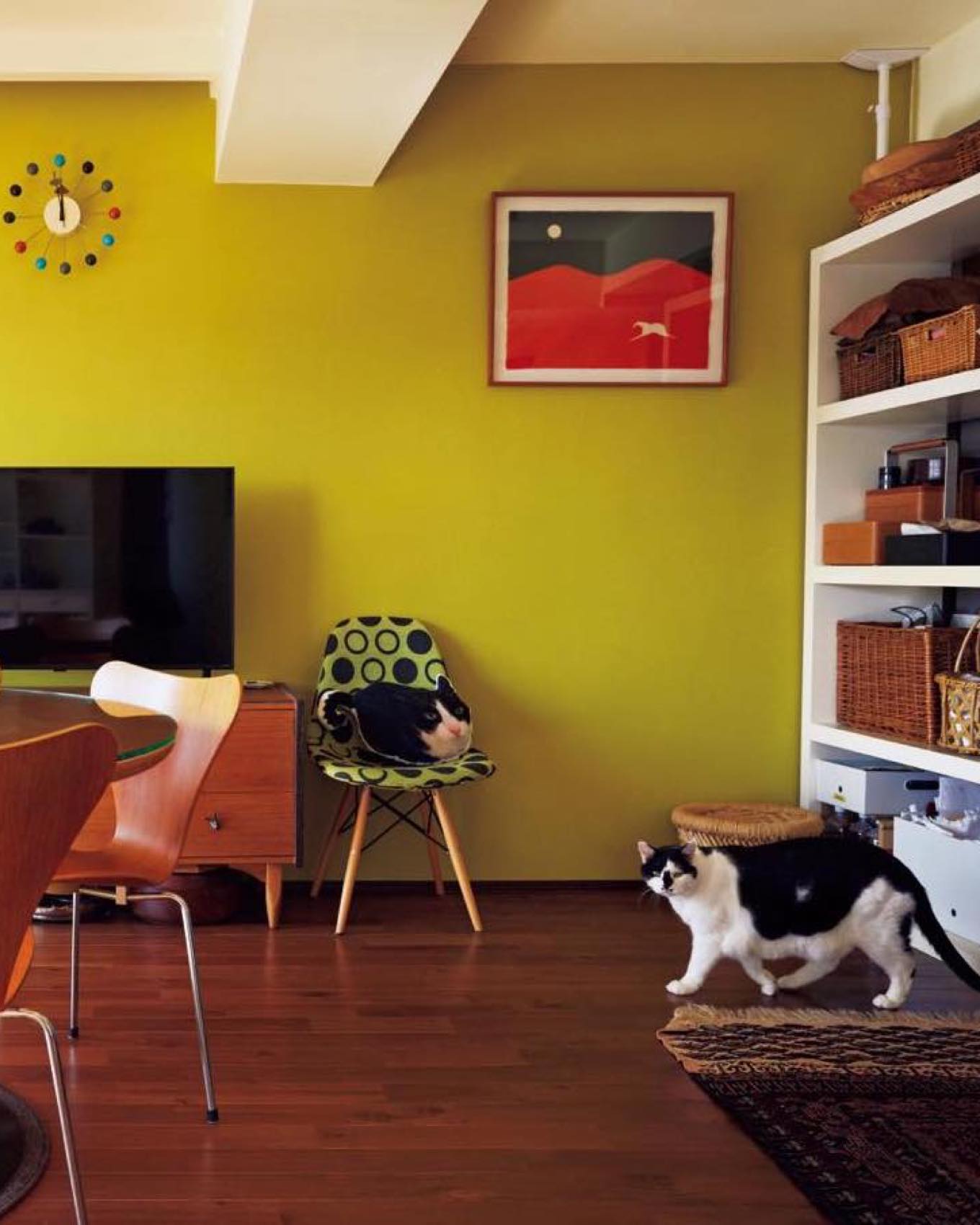 【山本浩未さんの色で遊ぶ家／前編】風水師も太鼓判、期限付きでも…