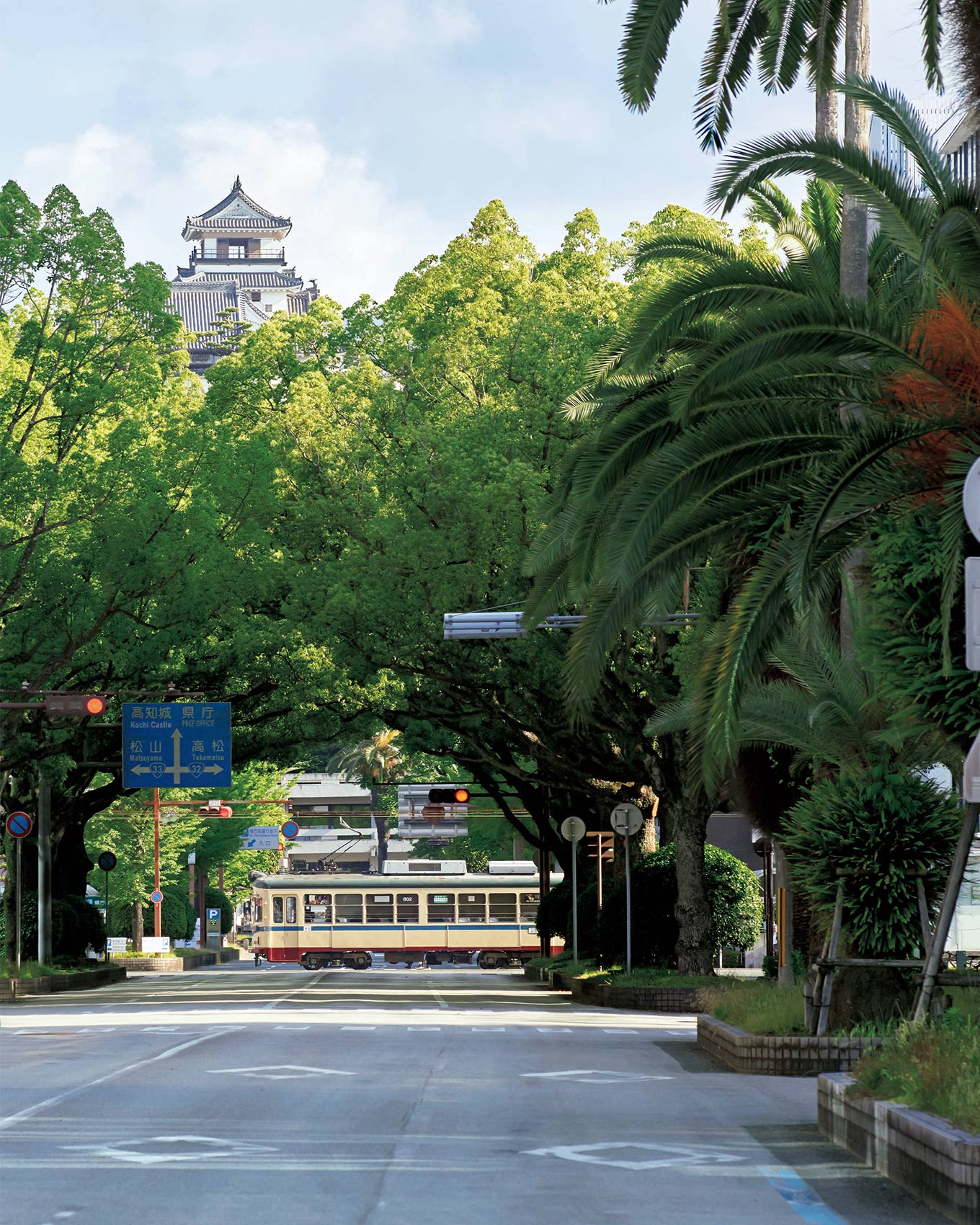 牧野植物園、モーニング、ギャラリー……高知市内で、史跡も自然もグ…